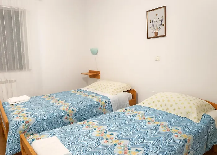 Hisa Vanda דוברובו